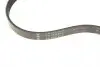 FB5PK813 Ремень генератора BMW 3 (E46)/X5 (E53)/5 (E39) 2.5D/3.0D 98-06 (5PK813) M57 D30 INA підбір по vin на Brocar