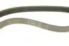 FB5PK830 Ремень генератора Opel Omega B 2.5DTI 01-03 INA підбір по vin на Brocar