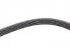 FB5PK836 Ремінь генератора BMW 3 (E46)/5 (E39) 1.8D/2.0D 98-03 (5PK836) M47 D20 INA підбір по vin на Brocar