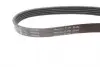 FB5PK865 Ремень генератора BMW 3 (E46)/5 (E39)/7 (E38) 95-05 (5PK865) (M52/M54) INA підбір по vin на Brocar