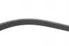 FB5PK865 Ремень генератора BMW 3 (E46)/5 (E39)/7 (E38) 95-05 (5PK865) (M52/M54) INA підбір по vin на Brocar