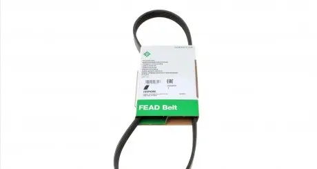 FB5PK890 Ремінь генератора BMW 3 (E36)/5 (E34) 90-00 / Ford Focus 2.5 05-12 INA підбір по vin на Brocar