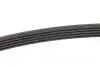 FB5PK906 Ремень генератора BMW 5 (E39) 520i/523i/528i 90-/Hyundai XG 3.0-3.5 98-05/Mitsubishi Colt 1.5 05-12 INA підбір по vin на Brocar