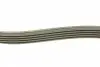 FB5PK975 Ремень генератора BMW 5 (E34)/7 (E38)/Citroen BX/Daewoo Lanos/Nexia 85-01(5PK975) INA підбір по vin на Brocar