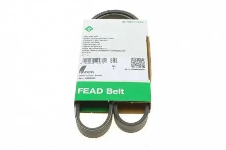 FB5PK975 Ремінь генератора BMW 5 (E34)/7 (E38)/Citroen BX/Daewoo Lanos/Nexia 85-01(5PK975) INA підбір по vin на Brocar