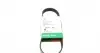 Ремень генератора Citroen Berlingo/Fiat Ducato/Peugeot Boxer/Expert 1.9 D/TD 96-03 (6PK730) FB6PK730