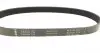 FB6PK730 Ремень генератора Citroen Berlingo/Fiat Ducato/Peugeot Boxer/Expert 1.9 D/TD 96-03 (6PK730) INA підбір по vin на Brocar