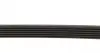 FB6PK730 Ремень генератора Citroen Berlingo/Fiat Ducato/Peugeot Boxer/Expert 1.9 D/TD 96-03 (6PK730) INA підбір по vin на Brocar