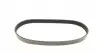 FB6PK730 Ремень генератора Citroen Berlingo/Fiat Ducato/Peugeot Boxer/Expert 1.9 D/TD 96-03 (6PK730) INA підбір по vin на Brocar
