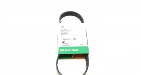 FB6PK730 Ремінь генератора Citroen Berlingo/Fiat Ducato/Peugeot Boxer/Expert 1.9 D/TD 96-03 (6PK730) INA підбір по vin на Brocar