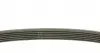 FB6PK750 Ремень генератора Peugeot Partner 1.8/VW Caddy II 1.4/1.6 95-04 (6PK750) INA підбір по vin на Brocar