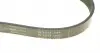 FB6PK875 Ремінь генератора Opel Movano 2.5D 98-00/Peugeot Boxer/Citroen Jumper 2.0/2.2HDi 02- INA підбір по vin на Brocar