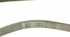 FB6PK875 Ремінь генератора Opel Movano 2.5D 98-00/Peugeot Boxer/Citroen Jumper 2.0/2.2HDi 02- INA підбір по vin на Brocar
