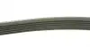 FB6PK890 Ремінь генератора Toyota Auris/ Yaris 1.33 09-12/Audi 80/A6 1.9TDI 91-07/Nissan Maxima 2.0/3.0 95-00 INA підбір по vin на Brocar