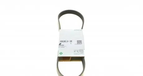 FB6PK890 Ремінь генератора Toyota Auris/ Yaris 1.33 09-12/Audi 80/A6 1.9TDI 91-07/Nissan Maxima 2.0/3.0 95-00 INA підбір по vin на Brocar