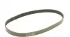 FB6PK890 Ремінь генератора Toyota Auris/ Yaris 1.33 09-12/Audi 80/A6 1.9TDI 91-07/Nissan Maxima 2.0/3.0 95-00 INA підбір по vin на Brocar