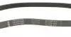 FB6PK935 Ремінь генератора Fiat Punto 1.7TD 94-99/Honda Accord 2.0/2.3i 93-03 INA підбір по vin на Brocar