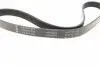 FB6PK955 Ремінь генератора VW Golf/Skoda Octavia 2.0i 04-13/Mazda 2/3 1.5 13-/Kia Ceed/Cerato 1.4/1.6 07- INA підбір по vin на Brocar