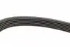 FB6PK955 Ремінь генератора VW Golf/Skoda Octavia 2.0i 04-13/Mazda 2/3 1.5 13-/Kia Ceed/Cerato 1.4/1.6 07- INA підбір по vin на Brocar