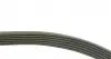 FB6PK985 Ремінь генератора BMW 1 (F20/F21)/3 (F30/F80) 1.6i 11-/Honda Civic VII/FR-V 1.7i 01- INA підбір по vin на Brocar