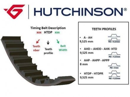 219AHP32 PASEK ROZRZĽDU HYUNDAI HUTCHINSON підбір по vin на Brocar