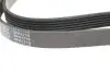 AD06R1718 Ремень генератора VW LT 2.5TDI -06/T4 2.5 91-03/Ford Connect 1.8 TDCi 02-07/ Opel Astra 1.7 07- BLUE PRINT підбір по vin на Brocar