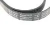 AD06R1718 Ремень генератора VW LT 2.5TDI -06/T4 2.5 91-03/Ford Connect 1.8 TDCi 02-07/ Opel Astra 1.7 07- BLUE PRINT підбір по vin на Brocar