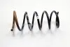 Пружина задняя Duster 4x4 1.5 dCi/1.6 i 10- 550202720R