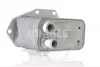 CLC159000S Охладитель масла MAHLE / KNECHT підбір по vin на Brocar