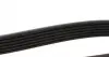 AD06R1080 Ремень генератора VW Crafter 2.0TDI 11-/ Honda Prelude2.0 96-00/ Subaru Outback 3.6 09- (6PK1080) BLUE PRINT підбір по vin на Brocar