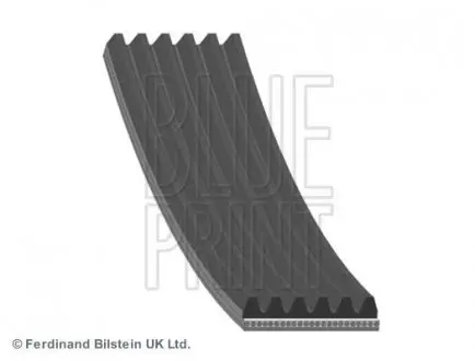 AD06R2140 PASEK WIELOROW. HONDA BLUE PRINT підбір по vin на Brocar