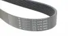 2090K8 Ремінь генератора Land Rover Range Rover Sport 2.7D 05-13 HUTCHINSON підбір по vin на Brocar