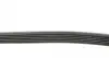 28915 Ремень генератора Audi A3 1.6/2.0FSI 03-13/Citroen Berlingo 1.9D 96-11/Caddy 1.6-2.0 95-15 (6PK1045) FEBI BILSTEIN підбір по vin на Brocar