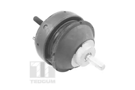 00221186 Подушка двигателя TEDGUM подбор по vin на Brocar