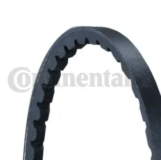 AVX10X1165 Клиновий пас CONTITECH підбір по vin на Brocar