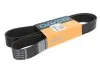 10PK1500HD Ремень поликлиновой 10PK1500 DAYCO підбір по vin на Brocar