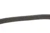 6PK1120HD Ремень генератора VW T5 1.9TDI/2.0TDI 03- (PS) HD DAYCO підбір по vin на Brocar