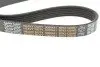 6PK1120HD Ремень генератора VW T5 1.9TDI/2.0TDI 03- (PS) HD DAYCO підбір по vin на Brocar