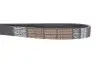 6PK1250HD Ремень генератора Renault Trucks Magnum 12.0i 90-96 DAYCO підбір по vin на Brocar