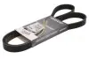 6PK1485HD Поликлиновый 6PK1485 (усиленный) DAYCO підбір по vin на Brocar