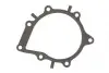 Прокладка помпы воды Citroen Jumper/Jumpy/Peugeot Boxer/Expert 2.0 BlueHDI 16- 823.770