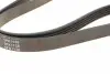 AD05R1138 Ремінь генератора Peugeot 605 2.0 89-99/ Ford Fiesta1.8 95-03/ Honda Civic/ Fit/ Jazz 1.2-1.4 02- BLUE PRINT підбір по vin на Brocar