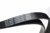 AD06R1318 Ремень генератора Fiat Punto/Opel Combo/ Corsa/ Agila 1.3 CDTI 03-/ Suzuki Swift 1.3 DDiS 05- BLUE PRINT підбір по vin на Brocar