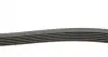 1285K6 Ремінь генератора VW Golf/VW Bora 2.3 -00 (6PK1285) HUTCHINSON підбір по vin на Brocar