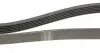 1285K6 Ремінь генератора VW Golf/VW Bora 2.3 -00 (6PK1285) HUTCHINSON підбір по vin на Brocar