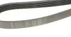 1285K6 Ремінь генератора VW Golf/VW Bora 2.3 -00 (6PK1285) HUTCHINSON підбір по vin на Brocar
