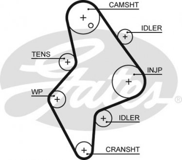 5658XS Ремень ГРМ GATES підбір по vin на Brocar