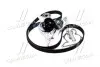KTBWP3680 Комплект ГРМ (+ помпа) Audi A4/A6/VW Passat 2.4/2.8 95-05 DAYCO підбір по vin на Brocar