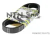 CA6PK1110 Ремінь генератора Fiat Scudo/Citroen Berlingo 1.9D/TD 96- (PS,-AC) SNR NTN підбір по vin на Brocar
