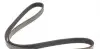 5PK1025HD Ремень генератора Mazda 626 1.8i 92-97 DAYCO підбір по vin на Brocar